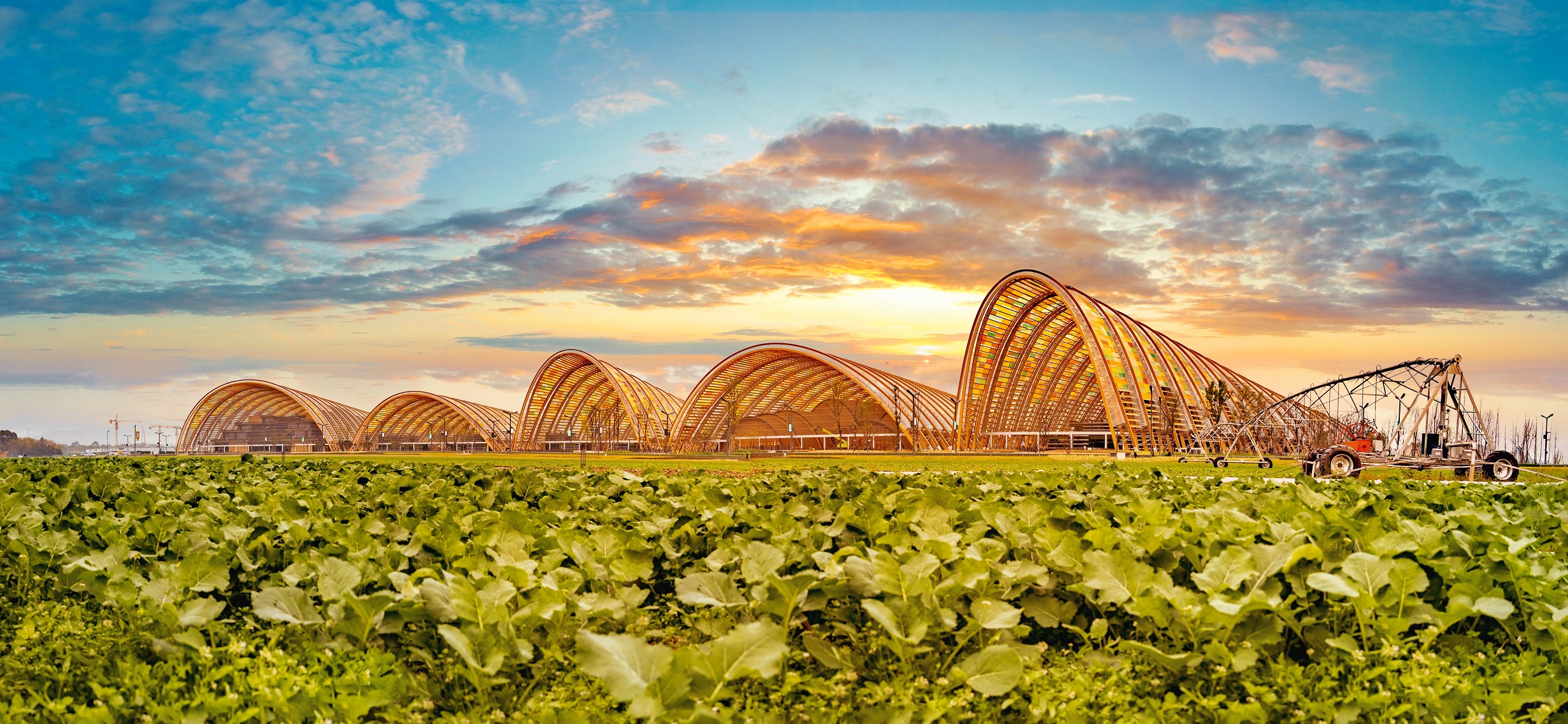 Why choose Tianfu AgriExpo Park China as the main venue of the 2022