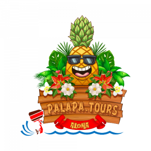 Palapa Tours Logo