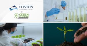 Clinton Community College and Green Flower partner on cannabis education certificate program