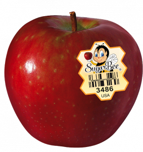 SugarBee® Apples Announce Year-Round Availability, Delighting Fans ...