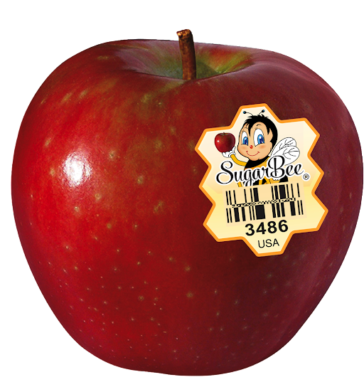 SugarBee® Growers Prepare to Celebrate National SugarBee® Apple Day; Julie  DeJarnatt Shares