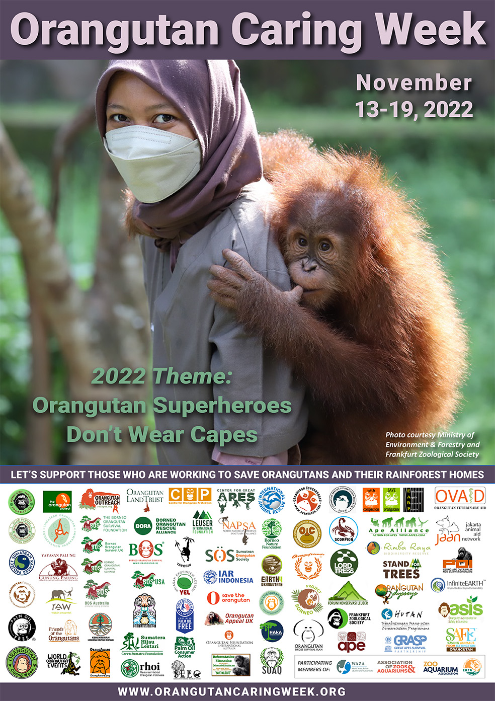 2022 Orangutan Caring Week Celebrates Orangutans and the Heroes Who ...