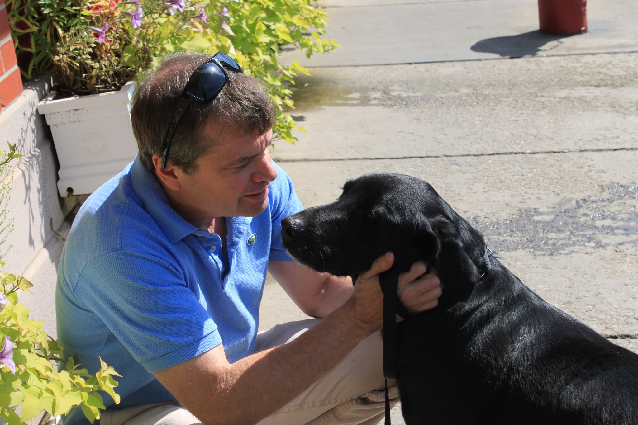Rep. Mike Quigley Earns High Praise, Endorsement from Animal Wellness