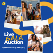 Charity Gala Silent and Live Auction