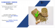 Cannabis Seeds Market Poised for Robust Growth, Opportunities and Forecast