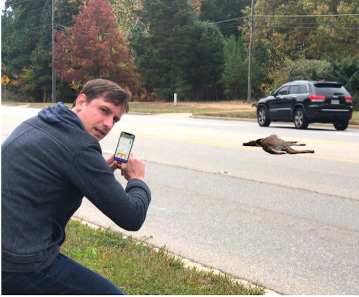 The Roadkill Art App introduces a new kind of reporter, a Roadkill ...