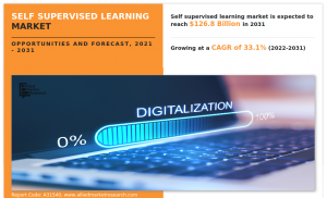 Self Supervised Learning Market