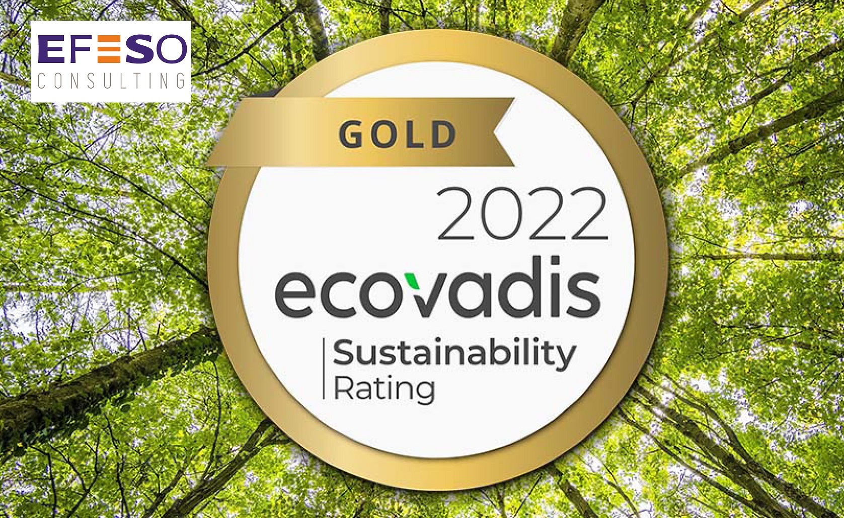 EFESO Consulting Awarded Gold Medal By EcoVadis For Its Performance And ...