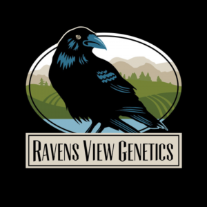 Ravens View Genetics Logo