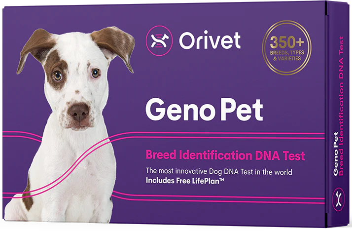 Dog dna best sale test black friday