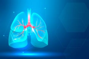 Medical Respiratory and Ventilation Motors
