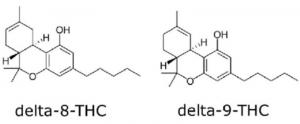 The differences between Delta 8 and Delta 9 - Leafy8 Brand