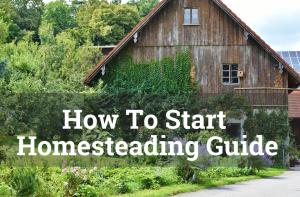 Homesteading Guide