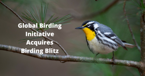 Global Birding Initiative merges with Birding Blitz