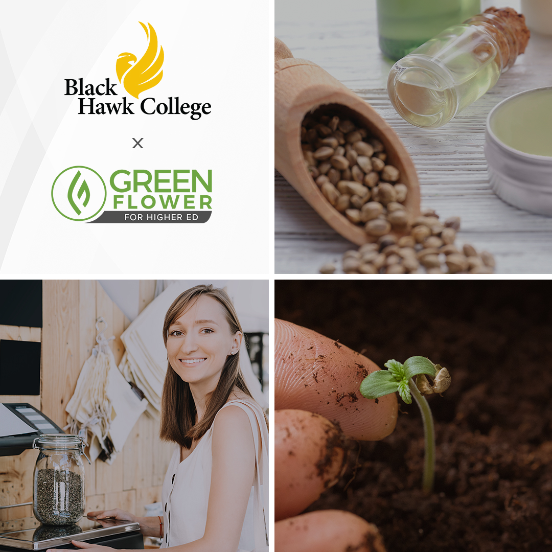 Black Hawk College launching online cannabis career training The