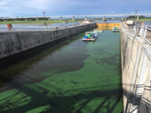 Port Mayaca Lock & Dam (Pre-NBOT treatment)