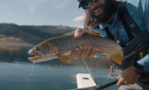 Cutthroat trout being held