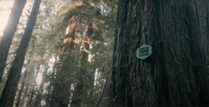 sensor on a tree in a forest