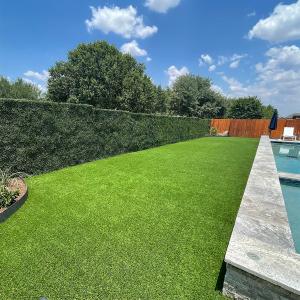 Phoenix backyard with artificial grass and artificial hedges