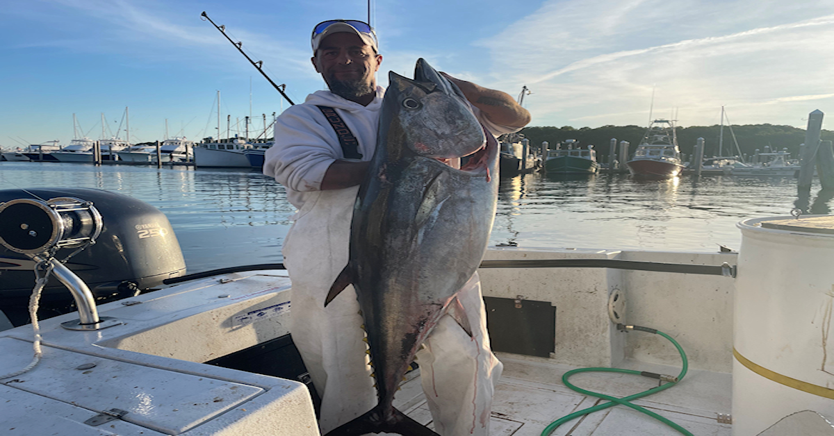 Cape Cod Fishing Charters for Bluefin Tuna with Reel Deal