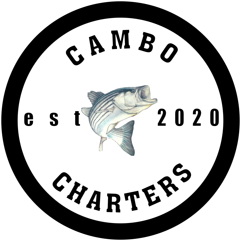 Cape Cod Charter Fishing - Cambo Fishing Charters - Cambo Fishing