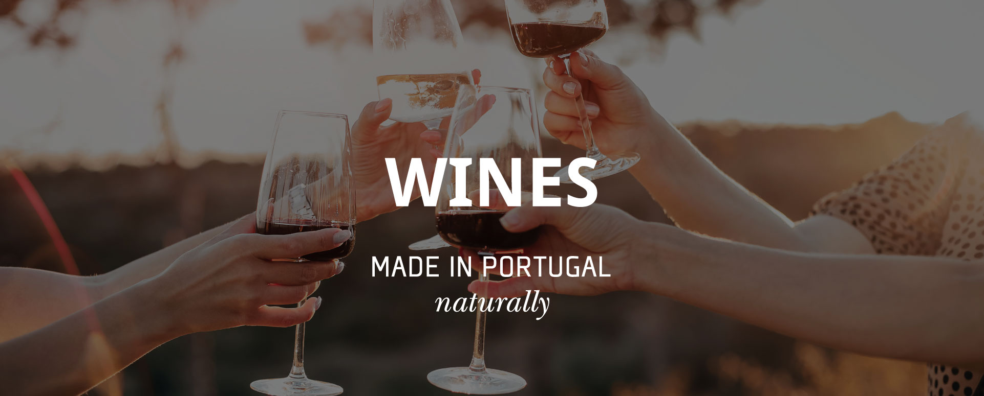 State of the Union: Portugal's Organic Wineries & Wines