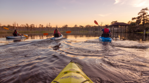 group of people kayaking in Jacksonville's many waterways