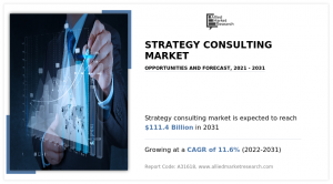 Strategy Consulting Market