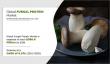 Fungal Protein Market Trends, Active Key Players, and Growth Projection Up to 2030