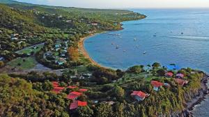citizenship by investment st. kitts
