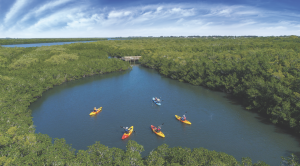 Kayaking at Orchid Island