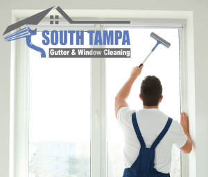 South Tampa Gutter and Window Cleaning 1