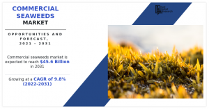 The global commercial seaweeds market size generated $17