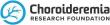 CHOROIDEREMIA RESEARCH FOUNDATION INVITES PROPOSALS FOR THE 2025 RANDY WHEELOCK RESEARCH AWARD