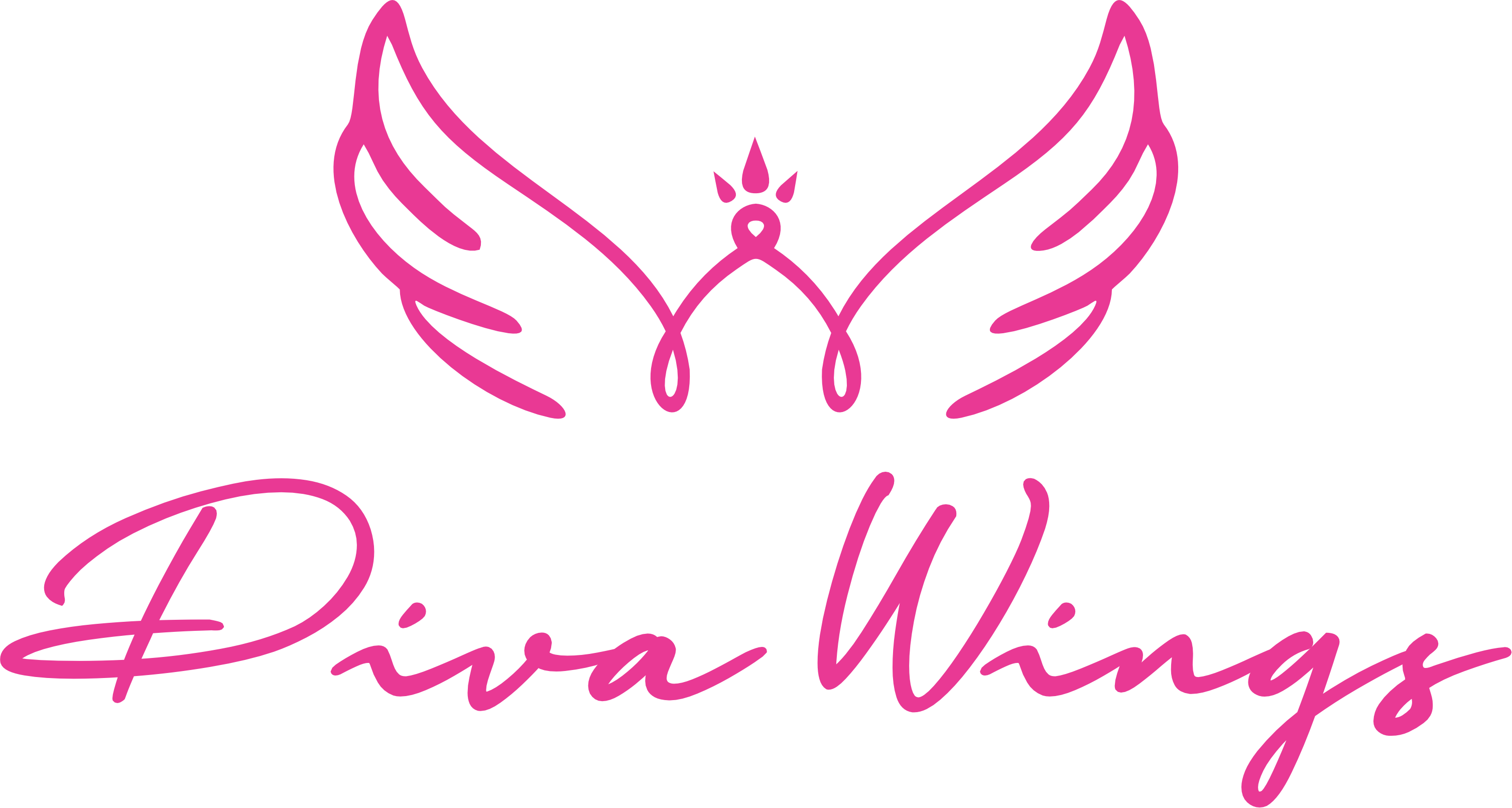 Bra Organizer – The Real Diva Wings