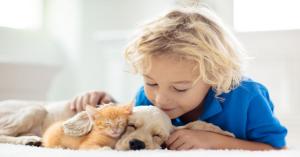 Boy with puppy and kitten