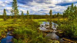 Kiplin Metals Reviews F3 Uranium Conductors Contiguous To Its Cluff Lake Road (“CLR”) Uranium Project, Saskatchewan