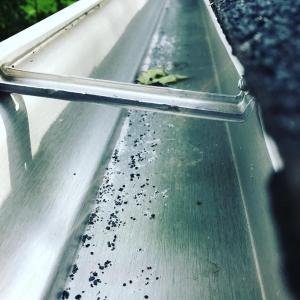 Clean Gutter