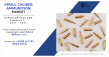 Small Caliber Ammunition Market Analysis, Swot Profile, Current Developments, Strategies To Boost Industry Growth 2031