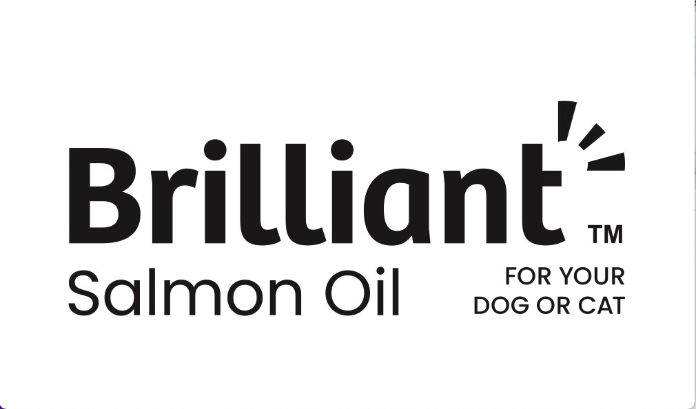 is salmon oil better than fish oil for dogs