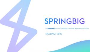 15236984 springbig nasdaq sbig