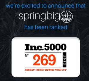 15236985 springbig sbig