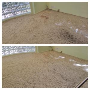 Fluffy carpet cleaning in Sherman Oaks
