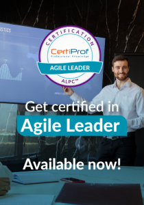 15706947 agile leader