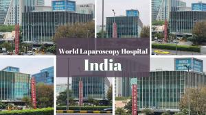 World Laparoscopy Hospital