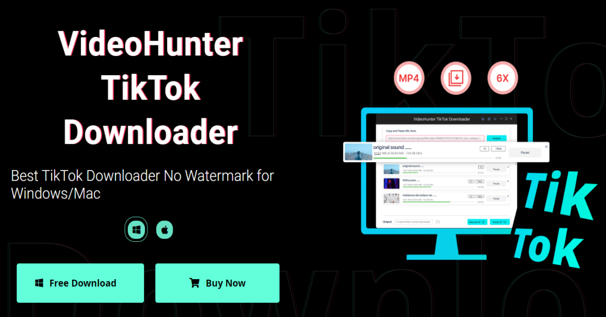 TikTok Video Downloader Without Watermark - URL MP4