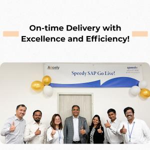 SAP ERP On-Time Delivery