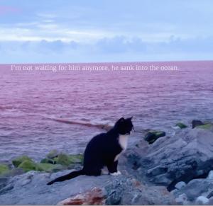 poster The Blind Swimmer
