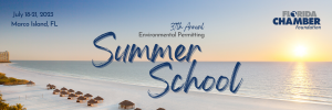 16412234 2023 summer school banner