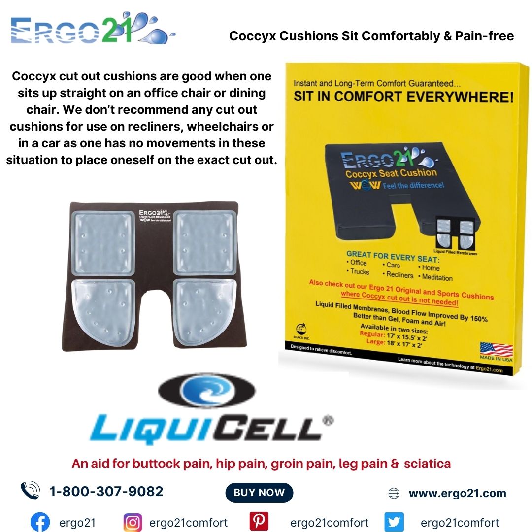All You Need to Know about Coccydynia and Its Treatment Using Coccyx Pain  Seat Cushion - Ergo21